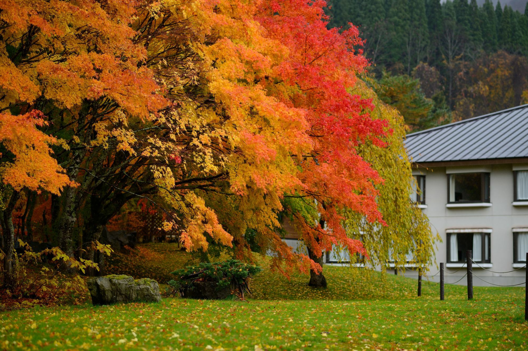 Towada Prince Hotel Koszaka Kültér fotó